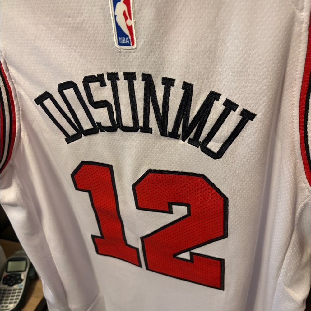 Chicago Bulls Basketball Jerseys - Picture 6 of 6